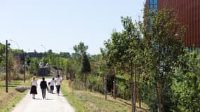 Une nouvelle forêt linéraire, dans le 19e arrondissement