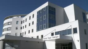 L'hôpital Roger Salangro à Lille le 9 mai 2013.