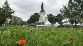 La place de la République à Paris a été recouverte d'une installation végétale.