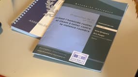 La Commission des lois de l'Assemblée nationale examine ce mardi une proposition de loi pour créer le "délit d'homicide routier".