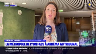 Pollution aux PFAS: la métropole de Lyon face à Arkema et Daikin au tribunal