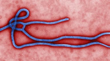 Une Nigérianne récemment rentrée en Italie présente des symptômes similiares à ceux d'Ebola.