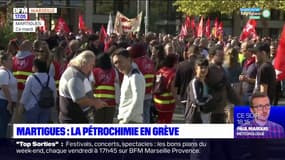 Martigues: la pétrochimie en grève ce mardi