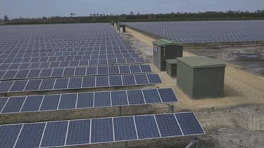 Dans le département des Landes, Cam Energie a construit sur un site de 27 hectares une surface de 77.000 mètres carrés de panneaux solaires, qui produisent de quoi alimenter en électricité l'équivalent de 6.500 foyers.