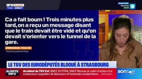 Le TGV des eurodéputés bloqué à Strasbourg