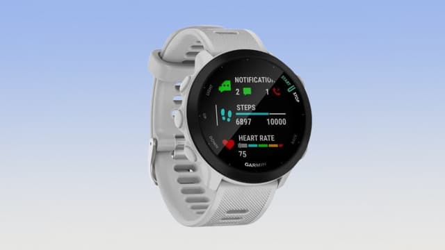 Erreur de prix ou promo jamais vue sur cette très célèbre montre Garmin Forerunner ?