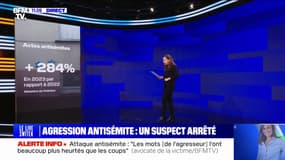 LES ÉCLAIREURS - Les chiffres de l'antisémitisme en France