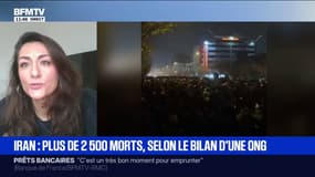 Manifestations en Iran: "On a envie de croire que, cette fois-ci, c'est la bonne", confie Aïla Navidi, metteuse en scène et comédienne franco-iranienne