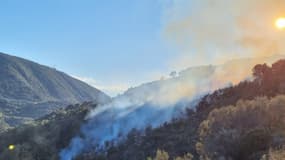 Un incendie s'est déclaré à La Trinité le lundi 17 avril 2023. 