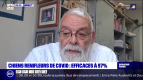 Chiens renifleurs de Covid: selon le vétérinaire Dominique Grandjean, "d'autres maladies virales pourront à l'avenir être dépistées"