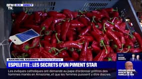 Espelette: les secrets d'un piment star - 27/10