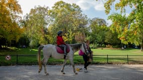 Un enfant fait une promenade à poney au Parc Monceau, le 12 octobre 2022 à Paris