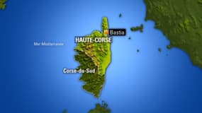 400 hectares de maquis, principalement, ont été ravagés par un incendie dans la commune d'Albertacce (Haute-Corse)