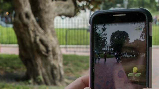 Les organisateurs expliquent dans un communiqué avoir été dépassés par l'ampleur prise par cette chasse aux Pokémons géante 