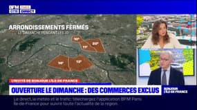 Commerces ouverts le dimanche pendant les JO de Paris: des commerces exclus