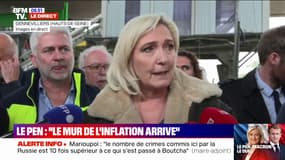 Marine Le Pen sur l'inflation: "La France de Macron, c'est une France qui va s'arrêter"