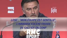 LOSC : "Mon équipe est gentille", l'immense colère froide de Galtier en conf'