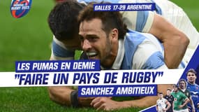 Pays de Galles 17-29 Argentine : "Faire d'un pays de foot, un pays de rugby" Sanchez vise la finale