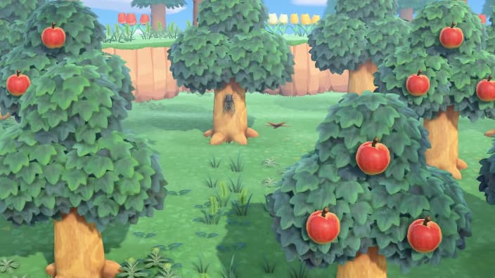Animal Crossing: New Horizons a été lancé en France le 20 mars.