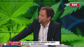 "Il n’y a pas que les bobos qui fument, nos élites aussi: "Malgré une répression accrue, les Français restent les premiers consommateurs de cannabis en Europe