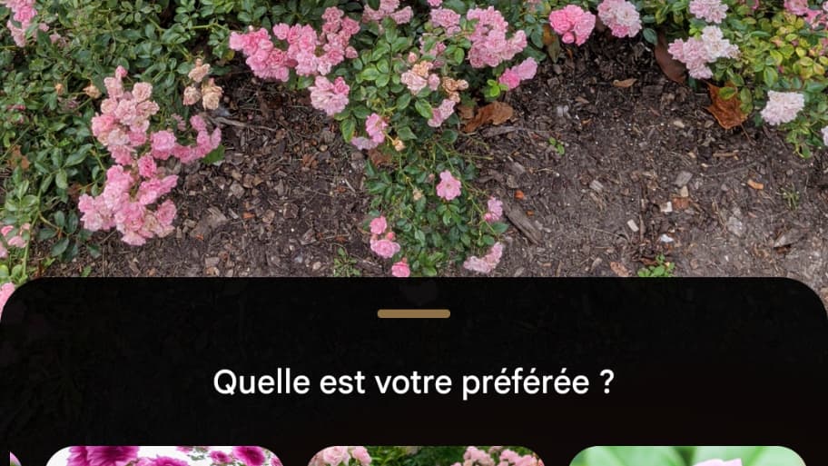 L'option "Trouver l'inspiration" du Coach photo peut manquer de cohérence dans ses propositions. 