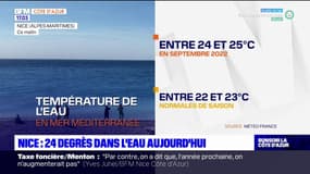 Nice: la Méditerranée encore trop chaude pour cette période de l'année
