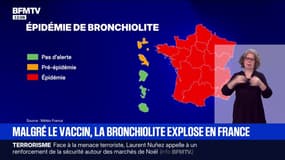La bronchiolite explose en France malgré la vaccination des nouveau-nés 