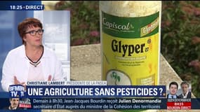 Une agriculture sans pesticides est-elle possible ?