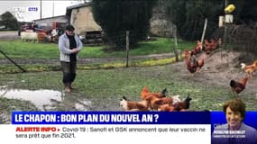 Le chapon: bon plan du Nouvel An ? - 11/12