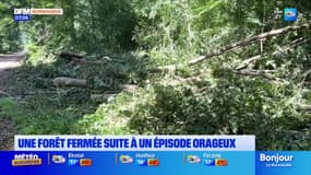 Eure: une partie de la forêt domaniale de Lyons fermée à cause des grosses intempéries