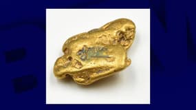 La pépite d'or nommée "Hiro’s Nugget", pesant 64,8 grammes, découverte dans la région de Shropshire Hills en Angleterre en mai 2023.