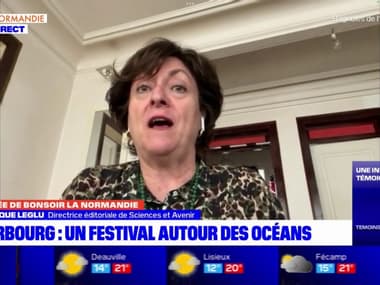 Deuxième édition du festival Grand Océan à la Cité de la Mer le 29 septembre