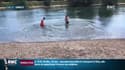 Les noyades se multiplient depuis le début de l'été, dans les piscines privées ou en rivière