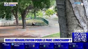 Marseille: des consultations publiques pour décider de l'avenir du parc Longchamp