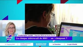 Un chèque télétravail de 600 euros par an : choquant ? - 08/12