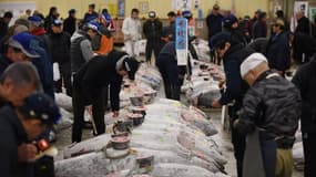 Tsukiji, plus important marché au monde de produits de la mer, fruits et légumes, avait ouvert en 1935.