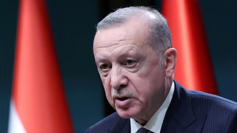 Bombardements à Gaza: le président turc Recep Tayyip Erdogan qualifie Israël d'