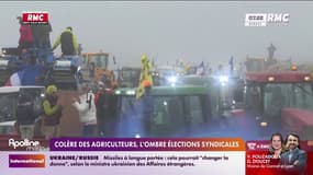 Colère des agriculteurs, l'ombre des élections syndicales 
