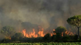 L'incendie près de Gonfaron, dans le Var, le 17 août 2021.