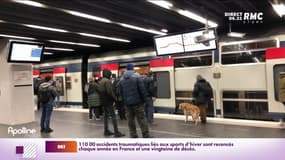 Sports d'hiver: face aux comportements dangereux sur les pistes, les stations envisagent des sanctions