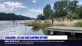 Avec les fortes chaleurs, le lac des Sapins attire les Lyonnais