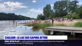 Avec les fortes chaleurs, le lac des Sapins attire les Lyonnais