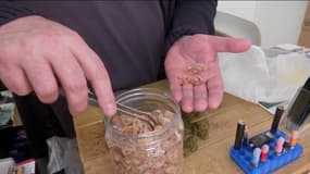 Des bonbons à base de HHC, dans une boutique spécialisée dans la vente de produits à base de CBD, à Paris.
