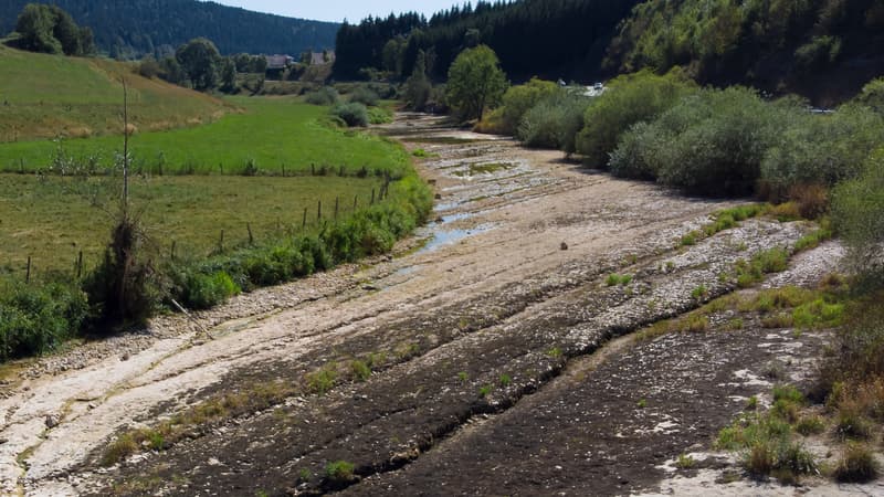 Le Doubs asséché.