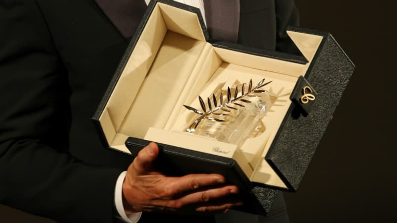 Qui décrochera la Palme d'Or? Le Festival de Cannes rend son verdict ce samedi