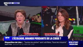 Pause du plan Écophyto: "C'est une régression absolument incroyable", estime l'ancienne ministre de l'Environnement Corinne Lepage