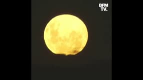 Les plus belles images de la "Super Lune" observée partout dans le monde