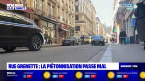 Lyon: la piétonnisation de la rue Grenette fait débat