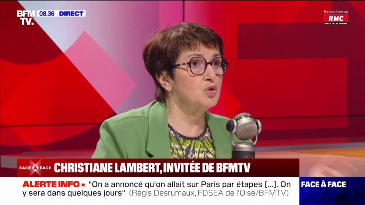 Colère des agriculteurs: Christiane Lambert affirme que les Italiens et les Espagnols « vont conduire des actions dans leur pays »