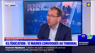 Seine-Saint-Denis: le maire de Montreuil, attend du tribunal qu'il donne raison aux 12 maires qui ont mis l'État en demeure